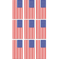 Data Graphics Inc American Flag Decal